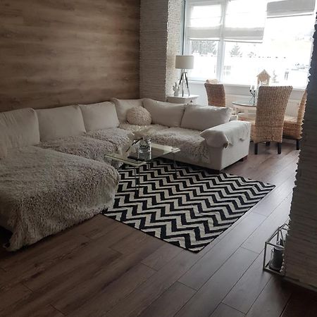 Winter Dream Home Braşov Eksteriør billede