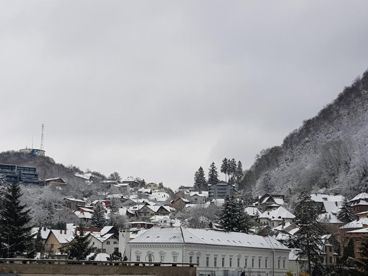 Winter Dream Home Braşov Eksteriør billede